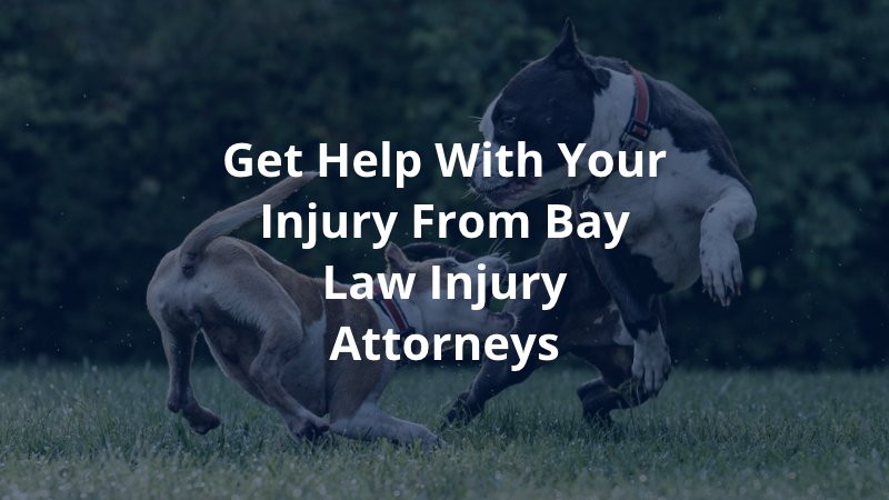 Get help with Your Injury from Bay Law Injury Attorneys