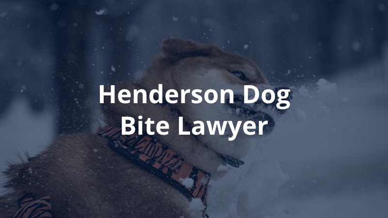 Henderson Dog Bite Lawyer